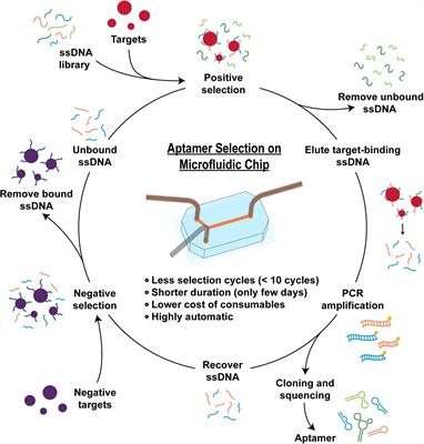 The Application of Microfluidic Technologies in Aptamer Selection